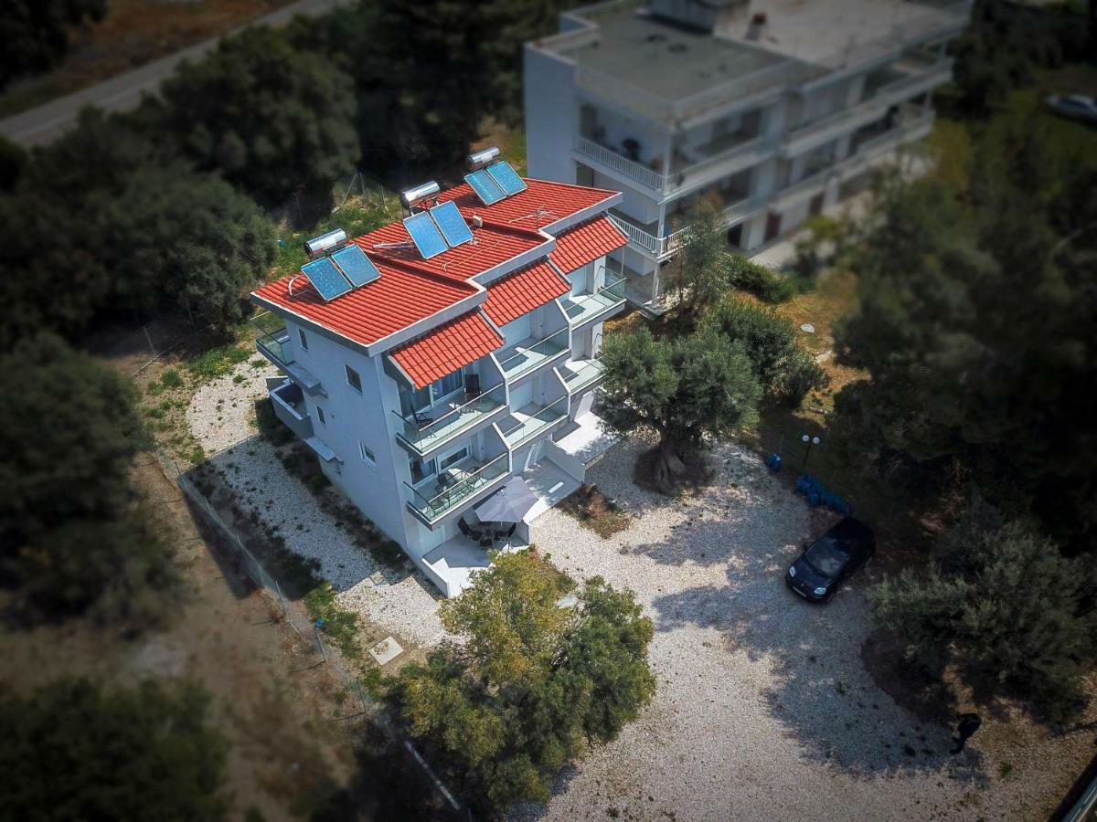 Akti Alegra Apartment II Nikiti  Exteriér fotografie